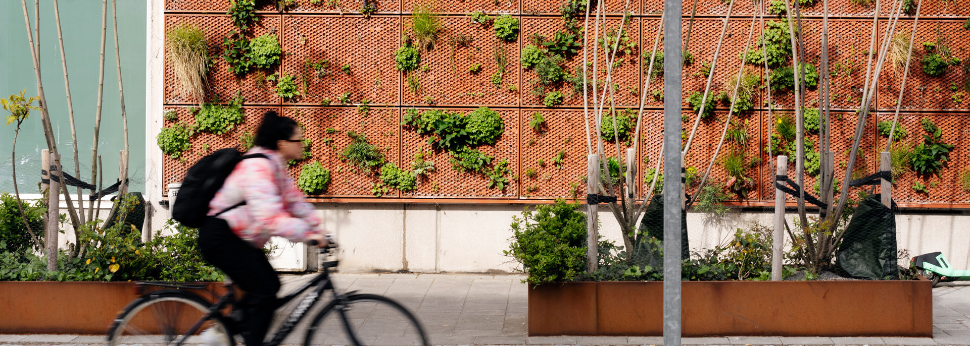 Planteringar utmed en väg för att fånga upp vatten från stora regn.