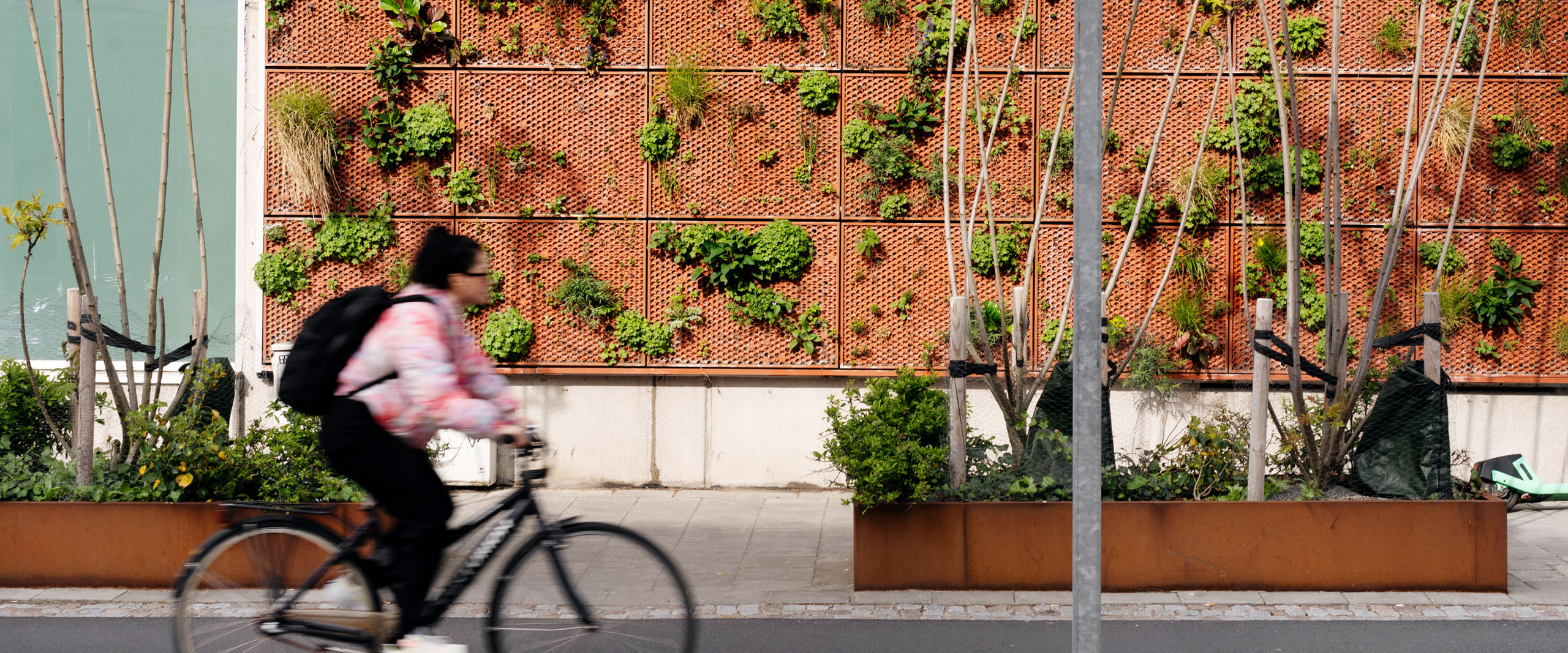 Planteringar utmed en väg för att fånga upp vatten från stora regn.
