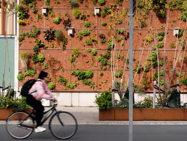 Planteringar utmed en väg för att fånga upp vatten från stora regn.