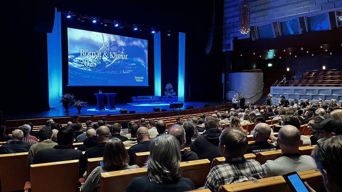 IMG_2931 - kopia.jpg