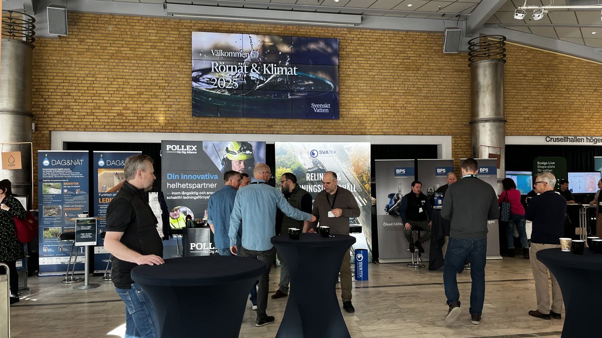 IMG_2955 - kopia.jpg