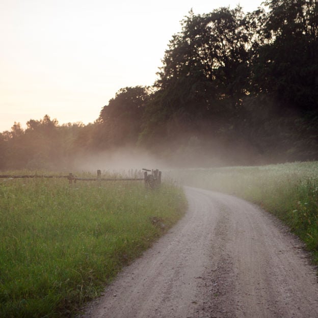 En äng och en landsväg i gryningsljus med dimma.